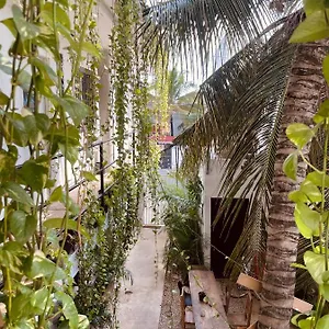 Anana Coliving Playa del Carmen